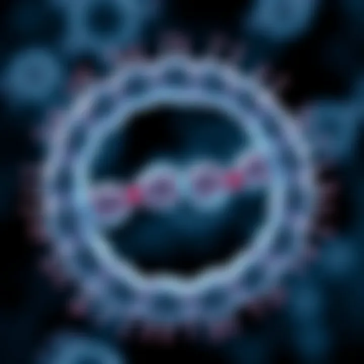 Diagram illustrating stages of binary fission in bacteria with clear separation of genetic material