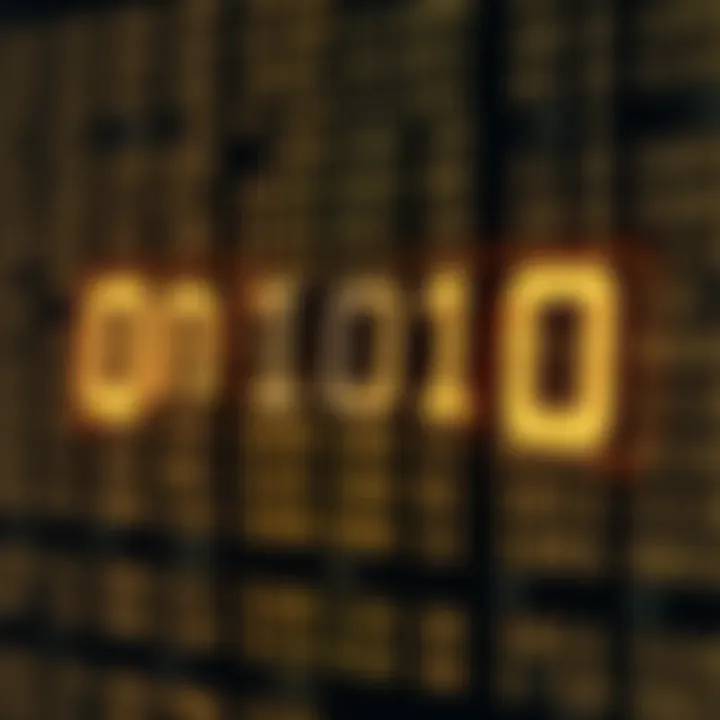 Diagram illustrating the binary number system with bits representing values of powers of two