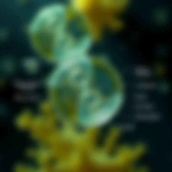 Diagram comparing binary fission in amoeba to other asexual reproduction methods with labeled features