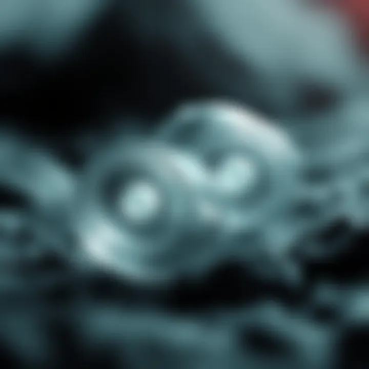 Diagram illustrating the division of a single-celled organism into two identical cells